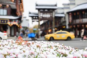 Snow Scenery in Nanjing