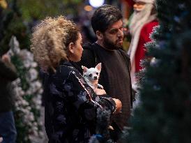 Christmas Shopping In Tehran, Iran