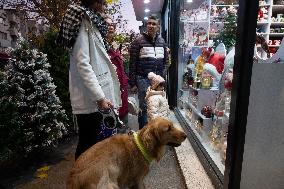 Christmas Shopping In Tehran, Iran