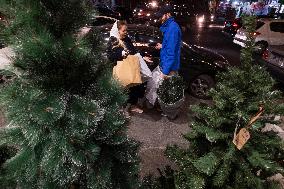 Christmas Shopping In Tehran, Iran