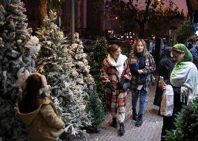 Christmas Shopping In Tehran, Iran