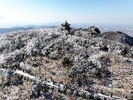 Rime Scenery in Lianyungang