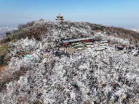 Rime Scenery in Lianyungang