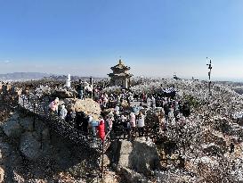 Rime Scenery in Lianyungang