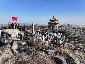 Rime Scenery in Lianyungang