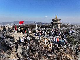 Rime Scenery in Lianyungang