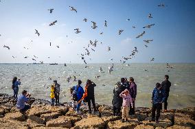 Daily Life in the seaside city of Bushehr - Iran