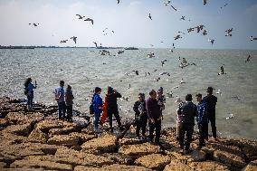 Daily Life in the seaside city of Bushehr - Iran