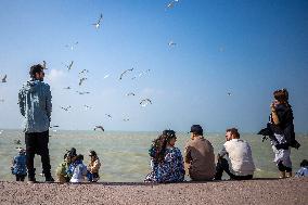 Daily Life in the seaside city of Bushehr - Iran