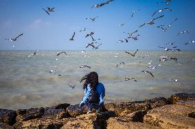 Daily Life in the seaside city of Bushehr - Iran