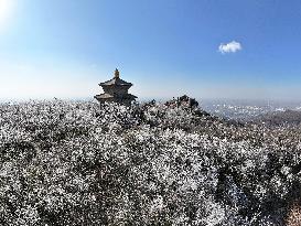 Rime Scenery in Lianyungang