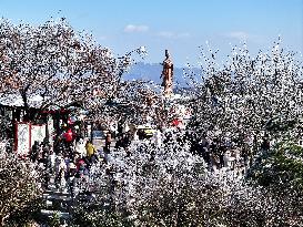 Rime Scenery in Lianyungang