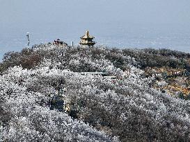 Rime Scenery in Lianyungang