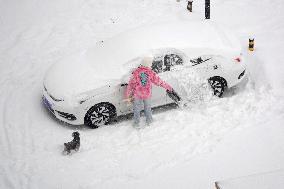 Snowstorm Hit Yantai