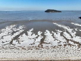 Ice Phenomenon at Lianyungang Seaside