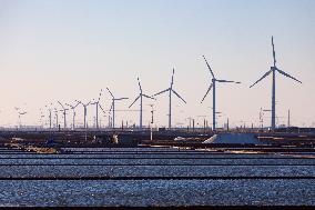Coastal Wind Power Installations in Weifang