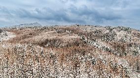 Tourists Enjoy The Snow at the Karst Ecological Park