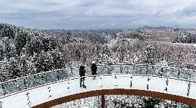 Tourists Enjoy The Snow at the Karst Ecological Park