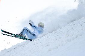 (SP)CHINA-CHANGCHUN-FREESTYLE SKI AERIALS- WORLD CUP-MIXED TEAM FINAL (CN)