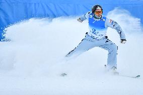 (SP)CHINA-CHANGCHUN-FREESTYLE SKI AERIALS- WORLD CUP-MIXED TEAM FINAL (CN)