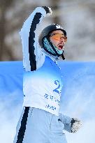 (SP)CHINA-CHANGCHUN-FREESTYLE SKI AERIALS- WORLD CUP-MIXED TEAM FINAL (CN)