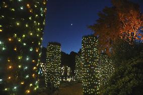 U.S.-CALIFORNIA-WOODSIDE-FILOLI-LIGHT DECORATIONS