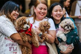 THE PHILIPPINES-QUEZON CITY-CHRISTMAS PET PARADE