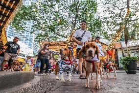 THE PHILIPPINES-QUEZON CITY-CHRISTMAS PET PARADE