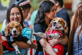 THE PHILIPPINES-QUEZON CITY-CHRISTMAS PET PARADE