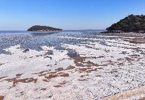 Ice Phenomenon at Lianyungang Seaside