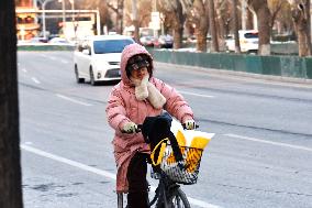 Cold Wave in Beijing