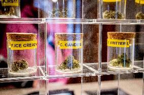 Pot Smokers Can Buy Legally Grown Pot In The Netherlands For The First Time