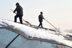 CHINA-HEBEI-SHIJIAZHUANG-COLD WAVE-VEGETABLES-SUPPLY (CN)