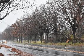 Trees Snapped, Park And Parking Lots Flooded In New Jersey