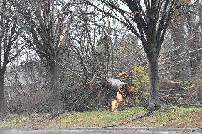 Trees Snapped, Park And Parking Lots Flooded In New Jersey