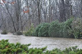 Trees Snapped, Park And Parking Lots Flooded In New Jersey