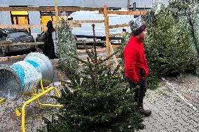 Poland Economy Ahead Of Christmas