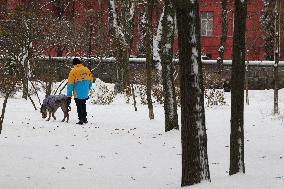 Winter in Kyiv