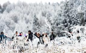 Tourists Enjoy Rime in Chongqing