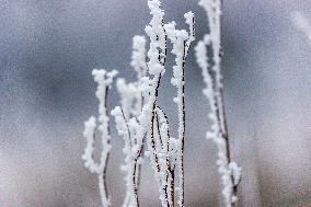 Tourists Enjoy Rime in Chongqing