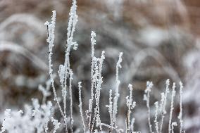 Tourists Enjoy Rime in Chongqing