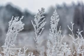 Tourists Enjoy Rime in Chongqing