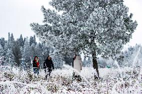 Tourists Enjoy Rime in Chongqing