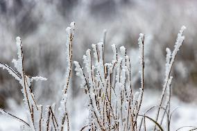 Tourists Enjoy Rime in Chongqing