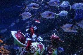 Diver Dressed As Santa Claus Feeds Fish To Celebrate Christmas, In Bangkok.
