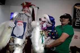 Children Deliver Letters To Father Christmas And Rescued Puppies In Mexico City Metro