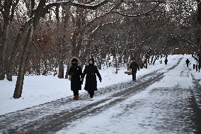 Citizens Face Frost in Shenyang