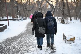 Citizens Face Frost in Shenyang