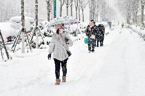 Heavy Snow Hit Yantai