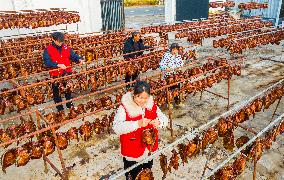 An Aquaculture Cooperative in Suqian